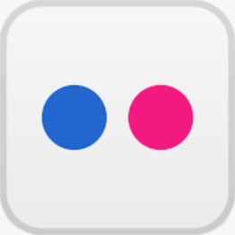 Logo Flickr