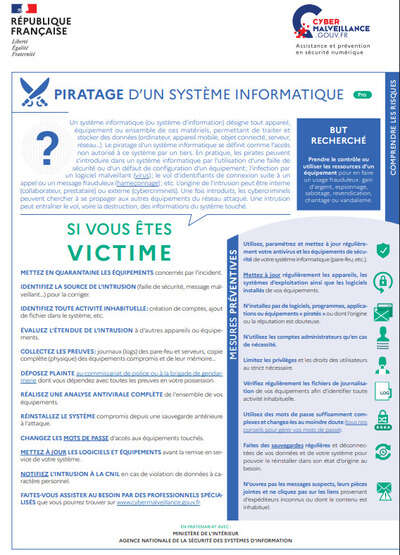 Le piratage d'un système informatique (professionnels)
