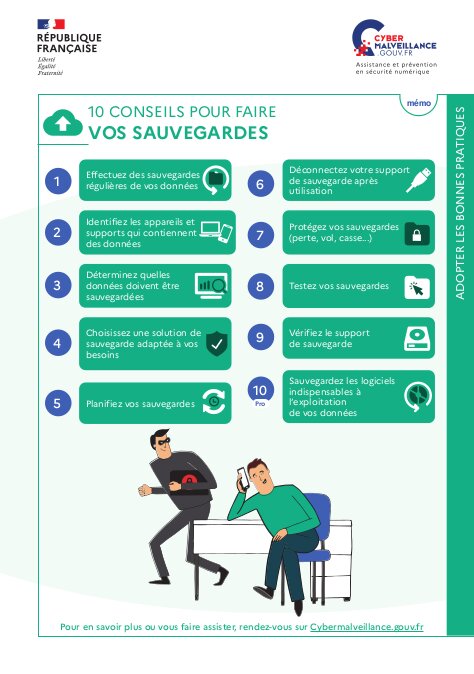 Les sauvegardes en fiche mémo