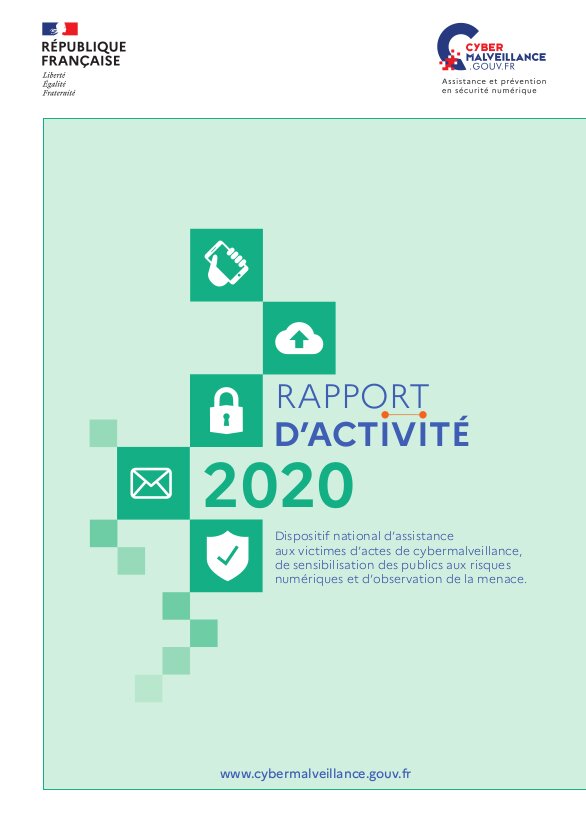 Rapport d'activité 2020