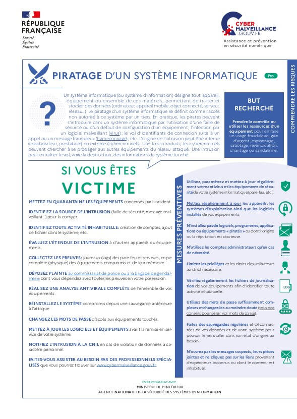 Le piratage d'un système informatique (professionnels)