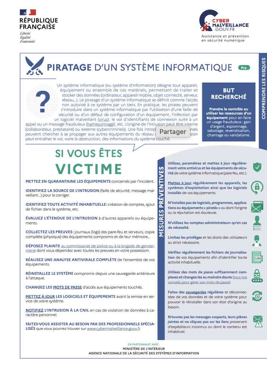 Le piratage d'un système informatique (professionnels)