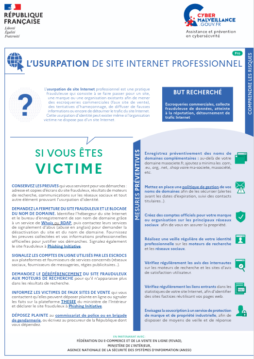 L'usurpation de site internet professionnel