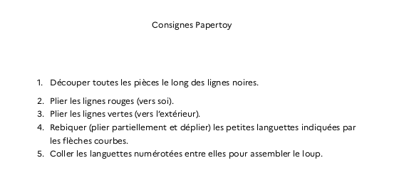 Consignes paper toy